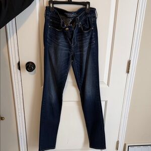 American Eagle Outfitters Women's Navy Skinny Jeans